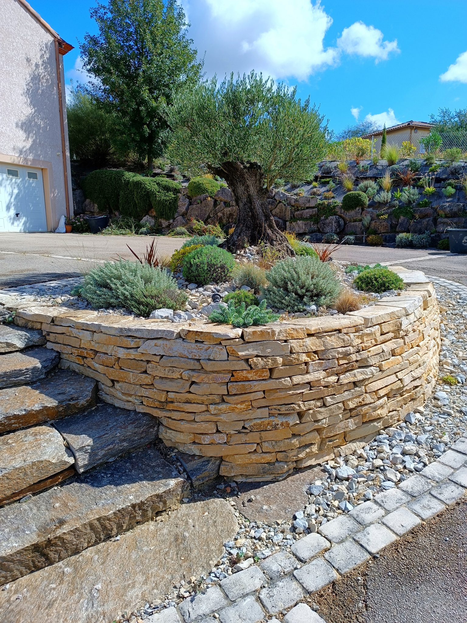 Jardin méditerranéen à Goyrans avec mur en pierre sèche du Lot, olivier central et lavandes pour une ambiance naturelle et montagnarde – Pierre Ô Jardin